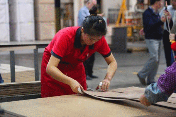 國家林業局、CCTV等專家媒體團走進生活家