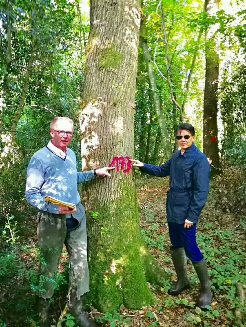 大自然木門成為《設計夢想家》唯一指定木門類合作品牌! 大自然木門成為《設計夢想家》唯一指定木門類合作品牌!