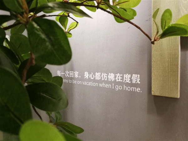 大自然地板23年原木經典系列，此刻光輝重現！