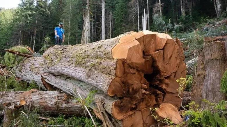 1636951294234447.jpg 微信圖片_20211115124112.jpg